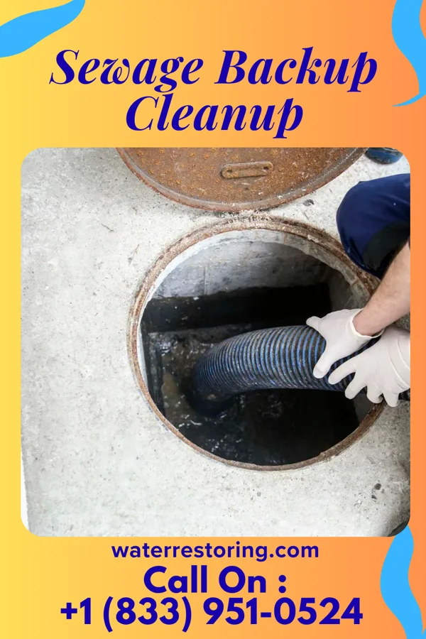 Sewage Backup Cleanup in Rhinelander, WI