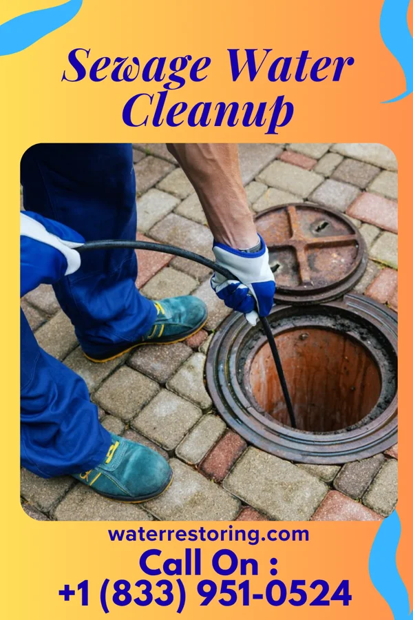Sewage Water Cleanup in Rhinelander, WI