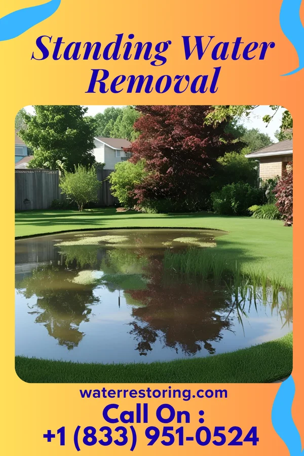 Standing Water Removal in Rhinelander, WI